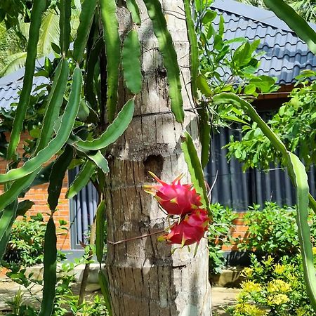 Homestay Nam Ham Luong Ben Tre 外观 照片
