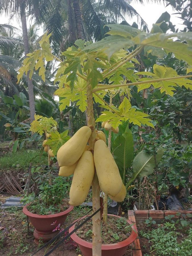 Homestay Nam Ham Luong Ben Tre 外观 照片